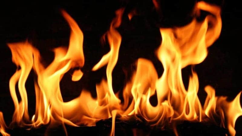 पाथीभरा क्षेत्रको डढेलो कञ्चनजङ्घा संरक्षण क्षेत्रमा प्रवेश